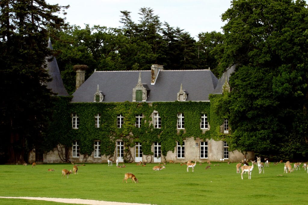En savoir plus sur Parc de Branféré, un havre de paix pour animaux