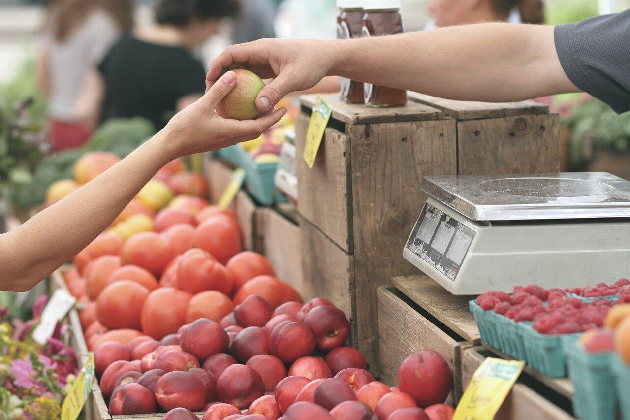marché producteurs locaux finistère